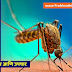 डेंग्यू म्हणजे काय? लक्षणे, कारणे, प्रतिबंध आणि उपचार | Dengue in Marathi