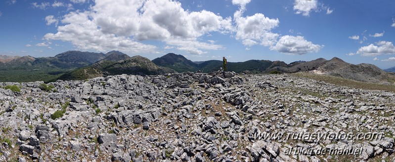 Cerro la Tala desde Conejeras