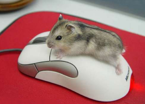 Benefits of Computer Mouse