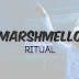 Marshmello ft Wrabel - Ritual (Indonesian Translate) Lyrics