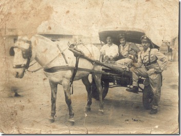 Charrete 01