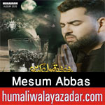 https://www.humaliwalayazadar.com/2012/11/mesum-abbas-nohay-2001-2013.html