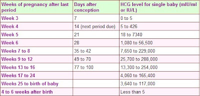Pregnancy Test Hcg Chart Pregnancy Symptoms