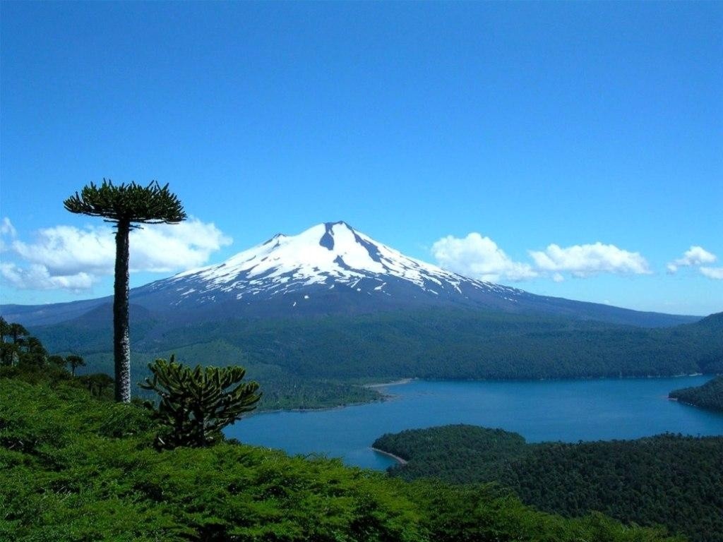https://blogger.googleusercontent.com/img/b/R29vZ2xl/AVvXsEhV25UqBpNIx1UAX8CK7EdxFuULxnEsbUxIVYURuVjDA7vZ9Qf2lrB5aHdFaQhTIrBjlWN39af7wI4DkuZjQNwISLQgORgfJC6QahW7Gc2JgnYRaY6KbWEfGRuxlKKPSmu4khFXSoLrJ11G/s1600/Free_Nature_Wallpaper_Llaima_Volcano_In_Chile.jpg