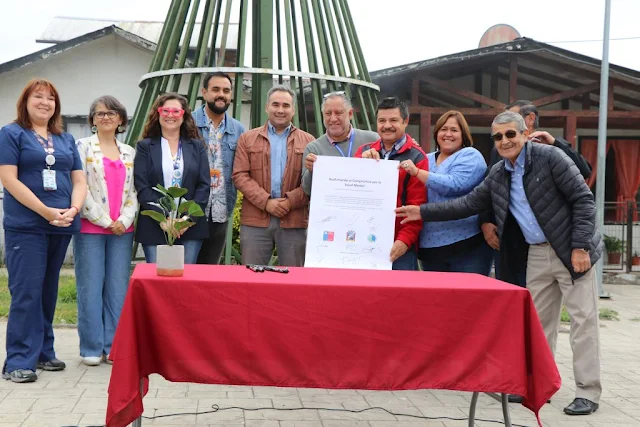 Río Negro, Puyehue y San Pablo avanzan en acceso a salud mental con innovador programa