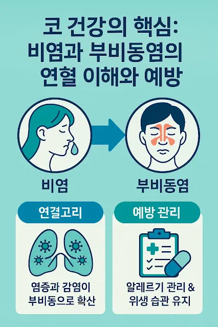 비염과 축농증(부비동염)의 연결고리와 합병증 예방 관리법
