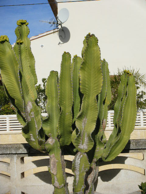 2009_12080002.JPG