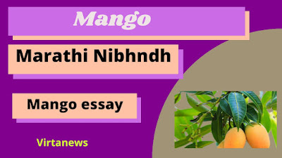 My Favourite fruit Mango Marathi Essay