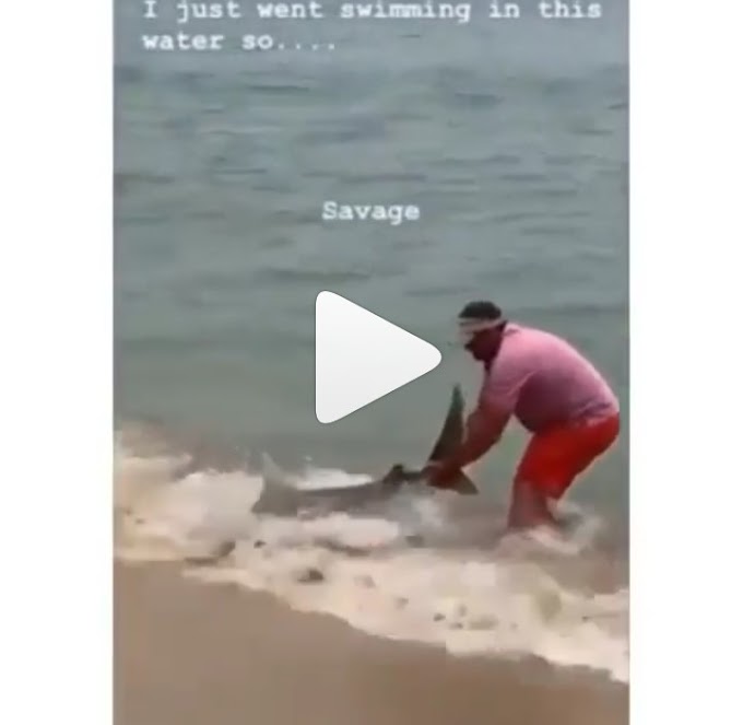 Man Finds Shark At The Shores, He Helped It Back Into The Water