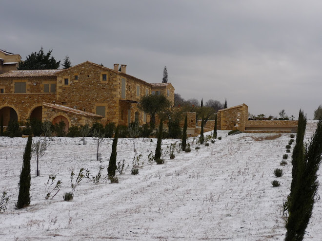 Sous la neige