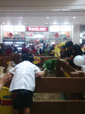 SERUNYA DANCOW EXCELNUTRI+ RANCH ADVENTURE DI MEDAN