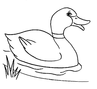 duck coloring pages