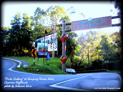 Marina Chalet and Homestay, Kampung Taman Sedia, Tanah Rata, Brinchang, Cameron Highlands,http://marinachalet.blogspot.com/