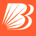 Bank of Baroda PO Recruitment 2015