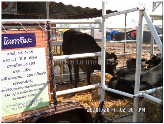 'งานเกษตรภาคอีสาน ขอนแก่น 2557