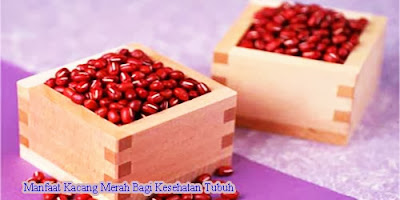 Manfaat Kacang Merah