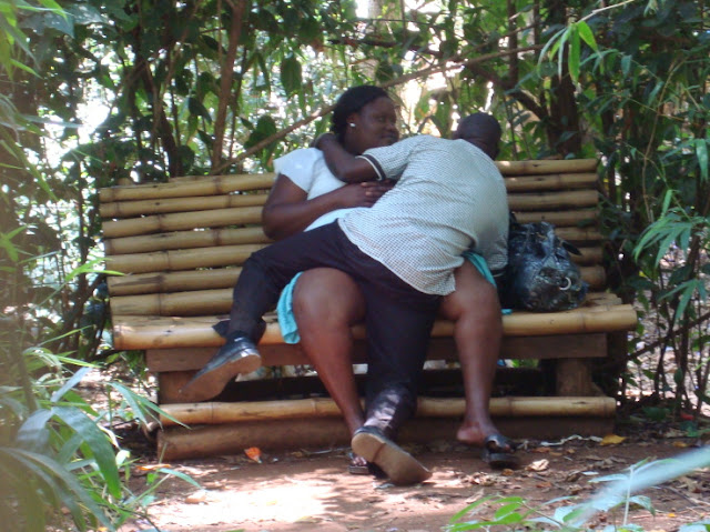 the muliro bench: Big Mama gone wild.