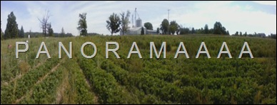 panoramaview of the fields :D