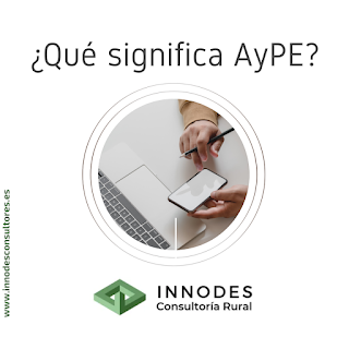 aype aypes autónomos pyme pymes empresas medio rural pueblos teruel management gestión marketing