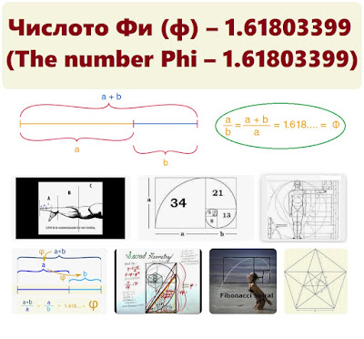 Числото Фи (ϕ) – 1.61803399