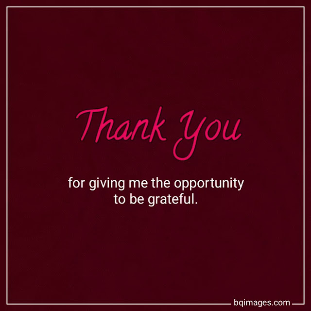 thank you images with quotes