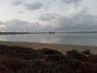 Salt Lake in Larnaka with water and flamingoes