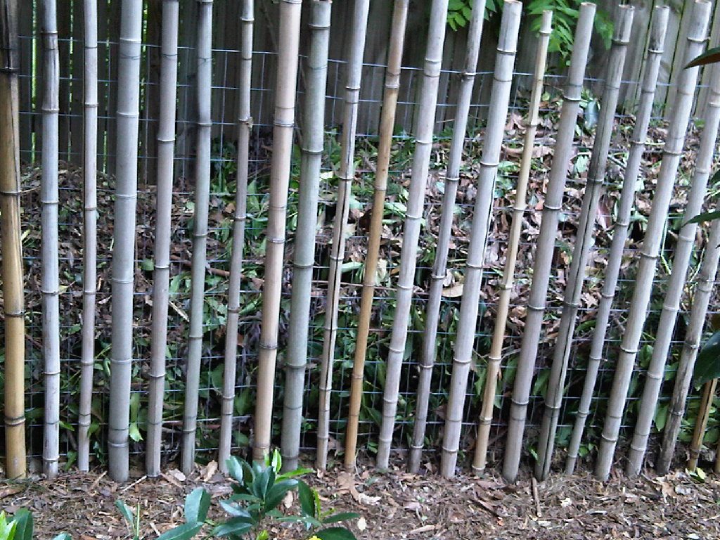 Bamboo Garden Fencing