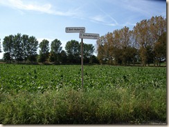 P8122615