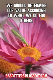 We should determine our value according to what we do for others.