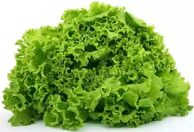 Top Health Benefits of Lettuce