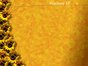 Flower Windows XP wallpaper orange yellow (the best top desktop windows xp wallpapers )