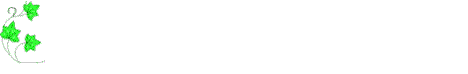 Linea-133