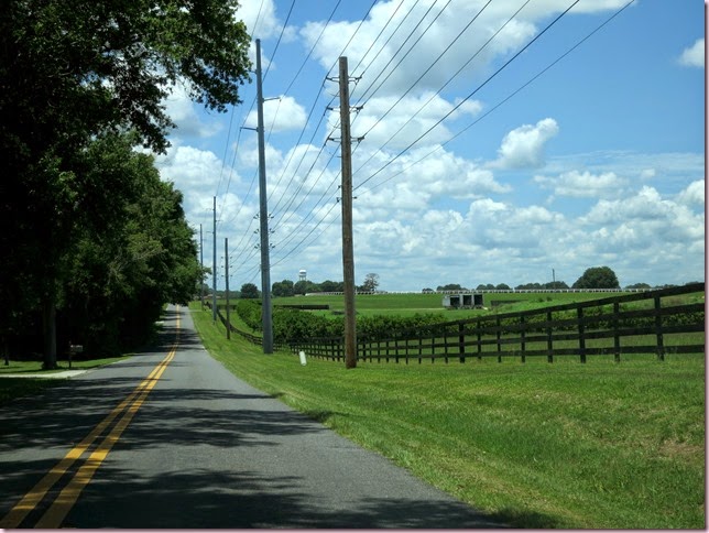 fenIMG_5214
