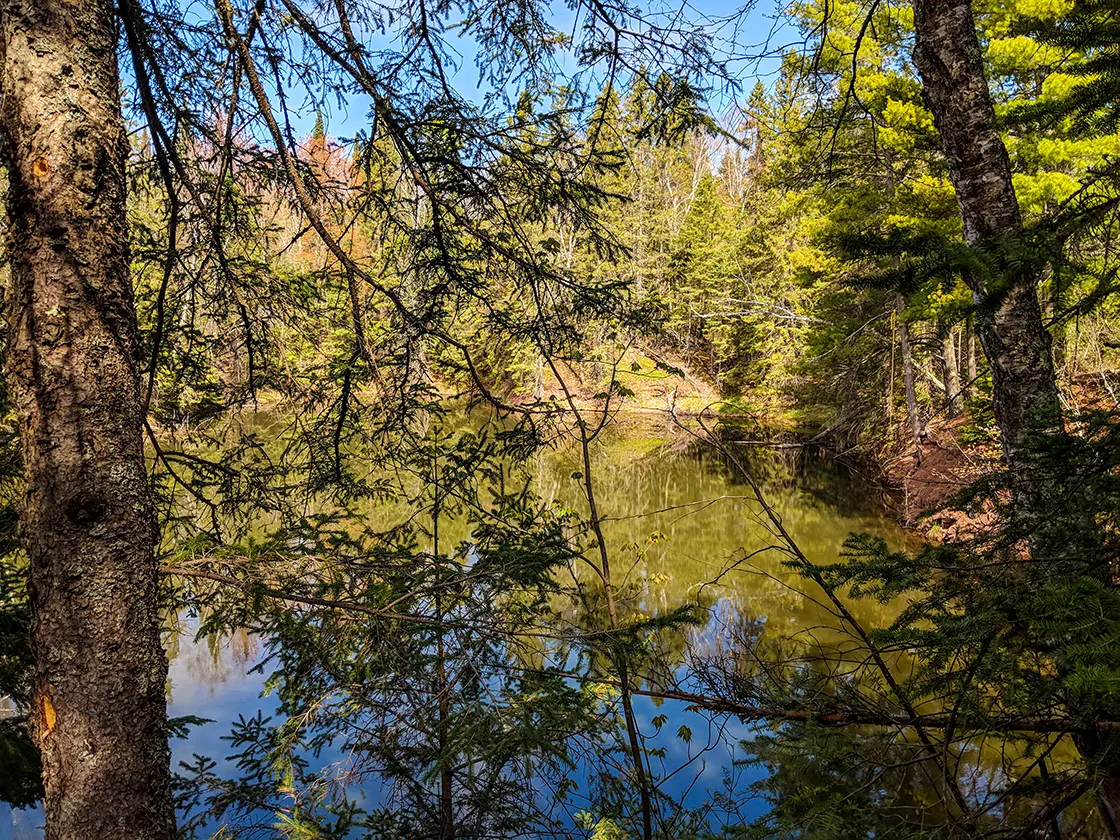 Old Quarry on the Thimbleberry Trail at Amnicon Falls State Park