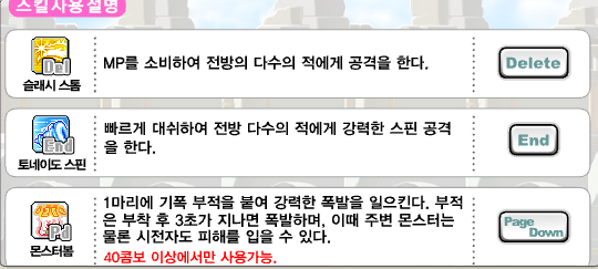 스킬 설명 1