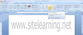 Memberikan No halaman ms.word 2007