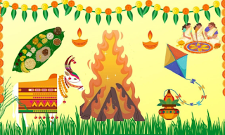 Pongal, Uttarayan, Bhogali Bihu and Bhogi were celebrated