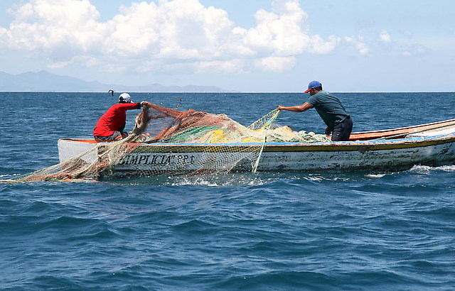 Video Pesca
