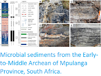 https://sciencythoughts.blogspot.com/2015/06/microbial-sediments-from-early-to.html