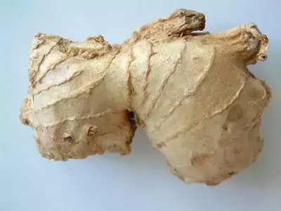 ginger