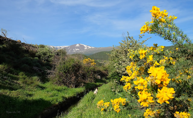 Acequia Alcázar, Jérez del Marquesado