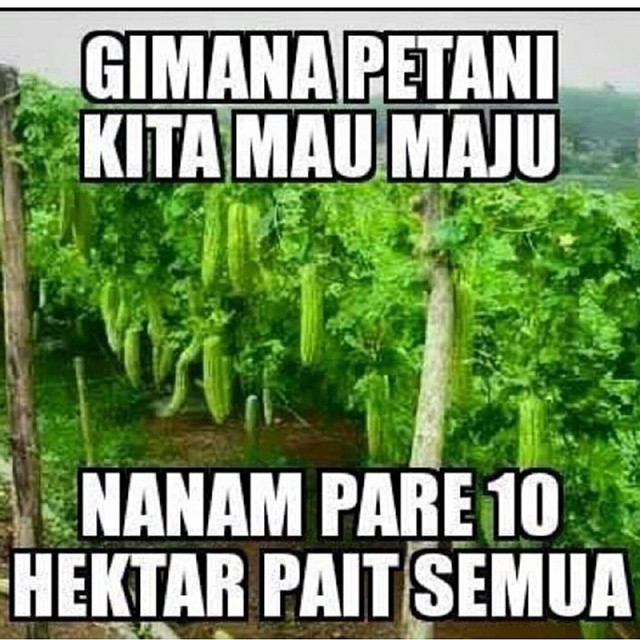 Gambar Foto Kata Kata Lucu Gokil