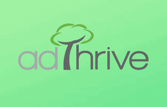 How Much Does AdThrive Pay? AdThrive Requirements & Earnings