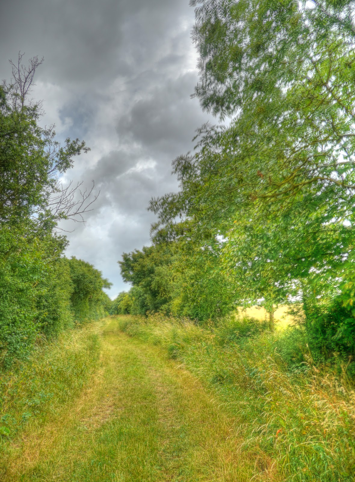 P1140475_69_70_71_72_73_74_tonemapped.jpg