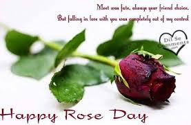   Latest HD Rose Day Quote IMAGES Pics, wallpapers free download 40