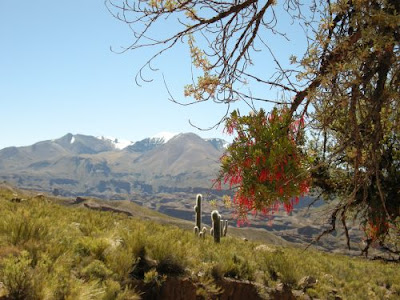 Die höchste Erhebung der Kordillere ist der Uturuncu mit einer Höhe von 6.008 m. Andere wichtige Gipfel des Gebirgszuges sind der Cerro Lípez (5.929 m), der manchmal fälschlicherweise als Cerro Nuevo Mundo bezeichnet wird; der Cerro Soniquera (5.899 m), der manchmal auch den Namen “Soreguera” trägt; und der Cerro Tinte (5.849 m) auf der bolivianisch-argentinischen Grenze.