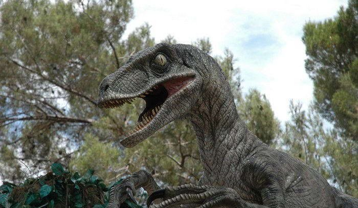 universal_studios (4)