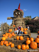 Here's a fun scarecrow at a pumpkin farm!
