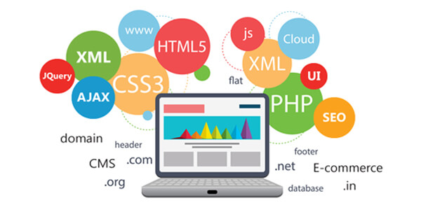 Best Web development company in India