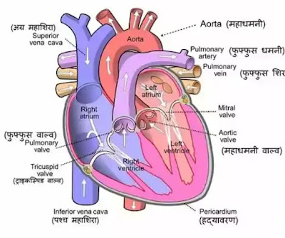 way2pathshala